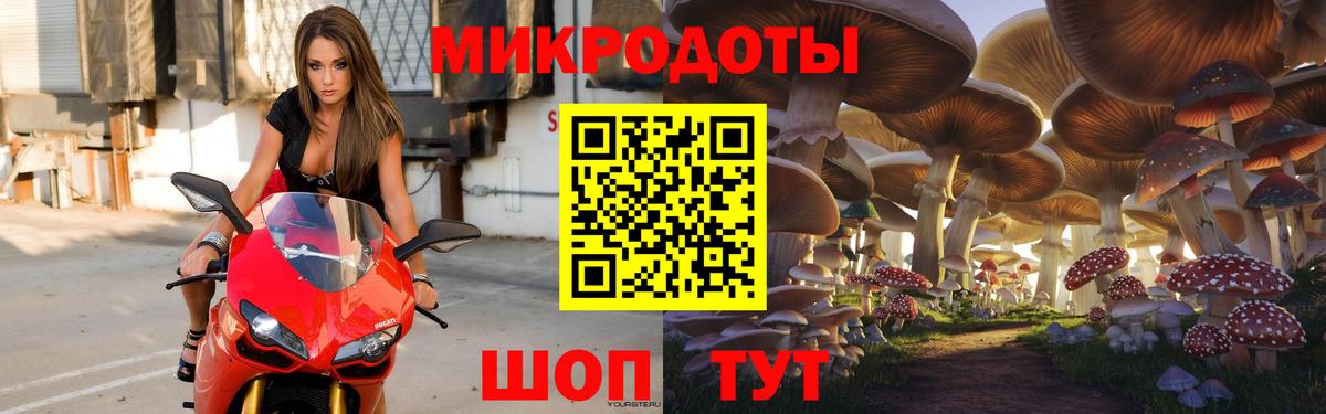 Каменка  хочу   Вход с VPN  Галлюциногенные грибы GOLDEN TEACHER 